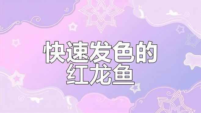有哪些紅龍發(fā)色類型？【紅龍魚發(fā)色類型主要受品種、血統(tǒng)及飼養(yǎng)方式影響飼養(yǎng)方式】