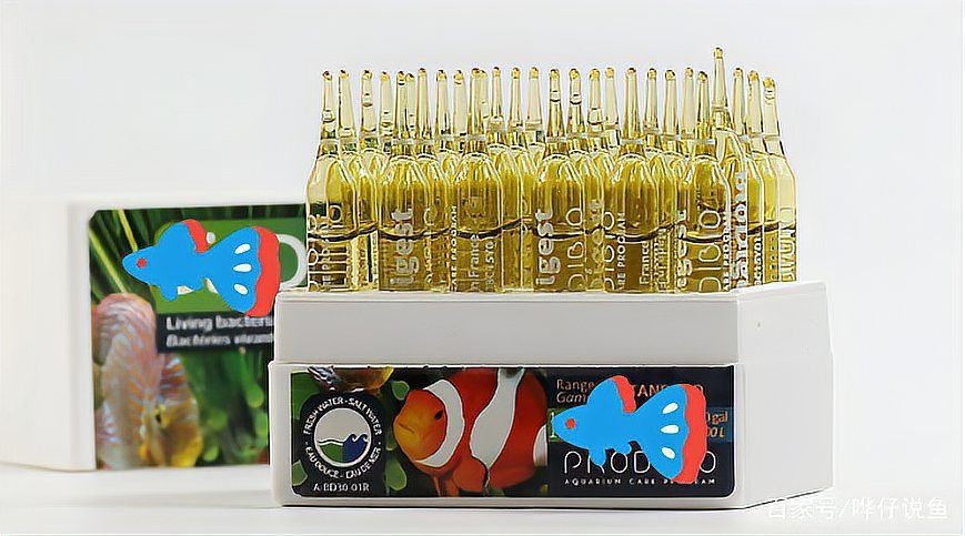龍魚細菌感染最怕三種東西【關于龍魚細菌感染最怕的三種物質或方法，有三件事你必須做】