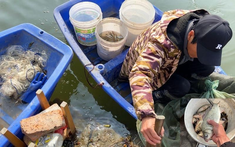馬古龍魚的圖片【農村小伙來村子河邊看魚獲野生大鯽魚嗶哩嗶哩嗶哩】