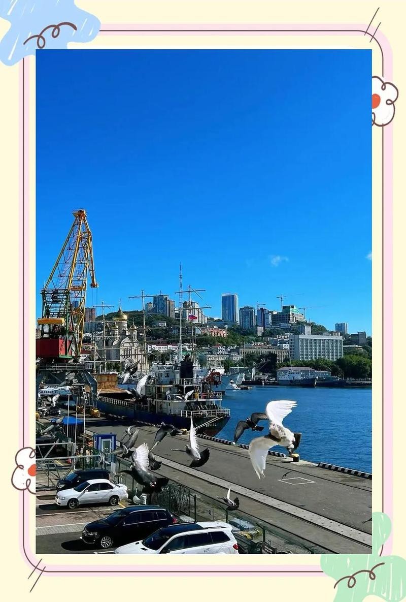 濱海水族店【天津市濱海新區塘沽景春水族店怎么樣】