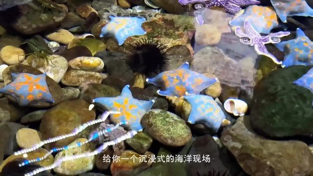 濱海水族店【天津市濱海新區塘沽景春水族店怎么樣】