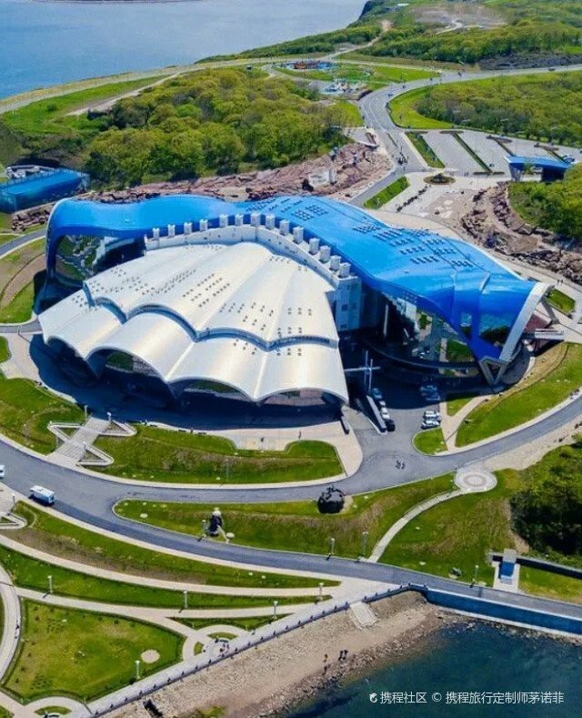濱海水族店【天津市濱海新區塘沽景春水族店怎么樣】