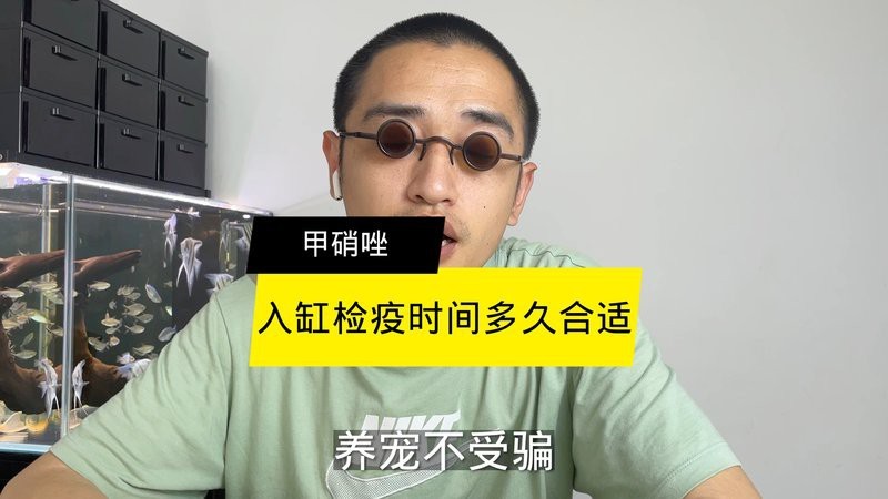 紅龍魚多久自檢一次合適？【新手養紅龍魚怎么養出好發色】