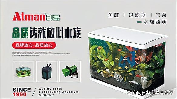 水族濾材十大名牌排名及價格表【2025年水族濾材十大品牌深度評測與選購指南】