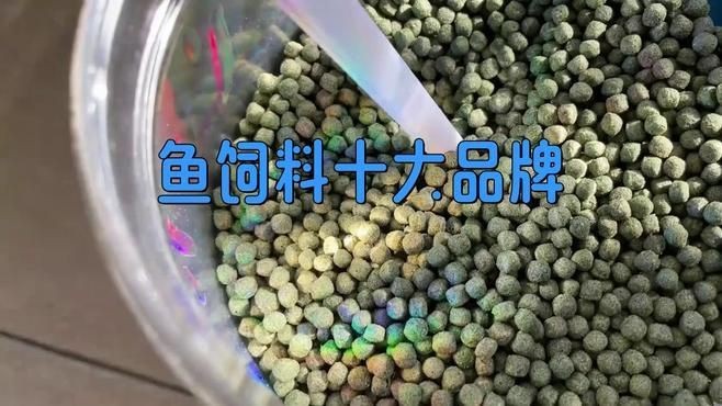 金魚飼料十大名牌【金魚飼料十大品牌排行榜】