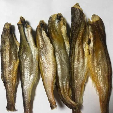金牛龍魚店【金牛區與“龍魚”相關的商業信息主要涉及兩類業態】