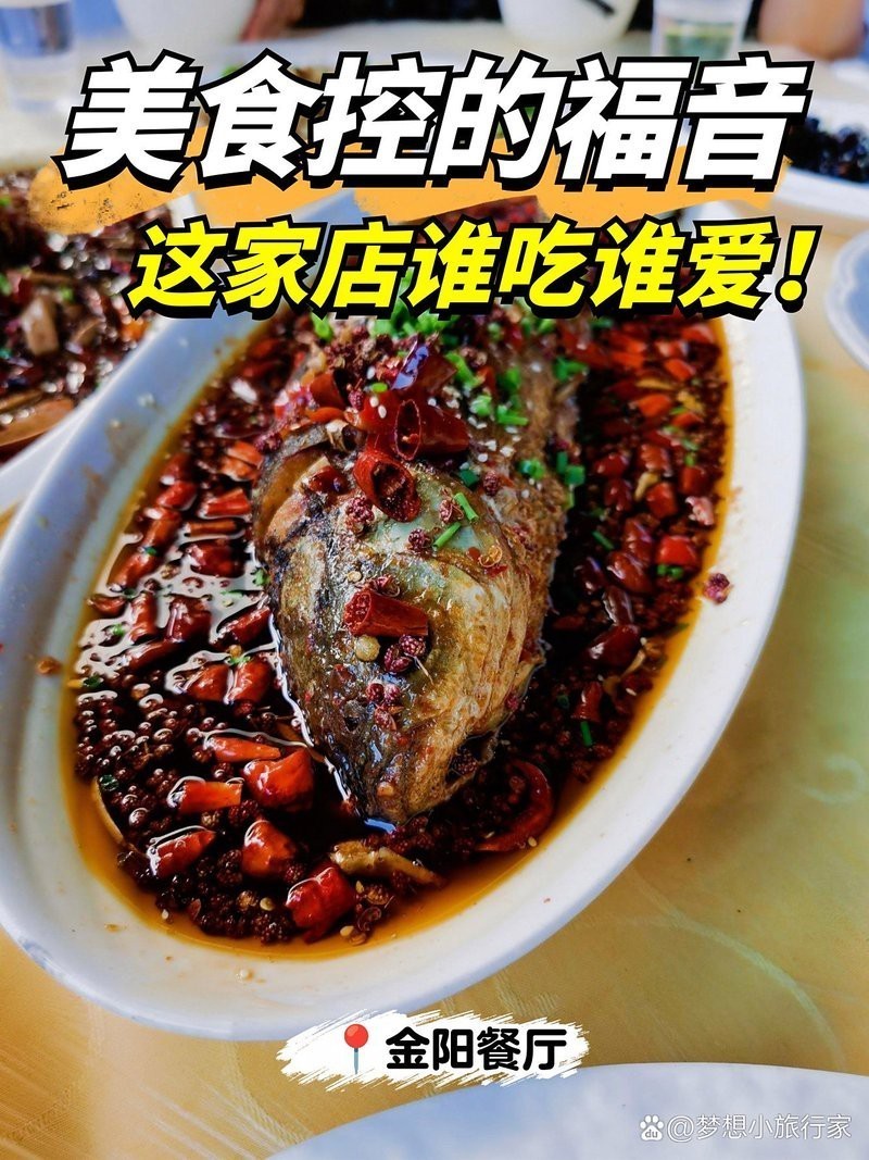 金陽龍魚店
