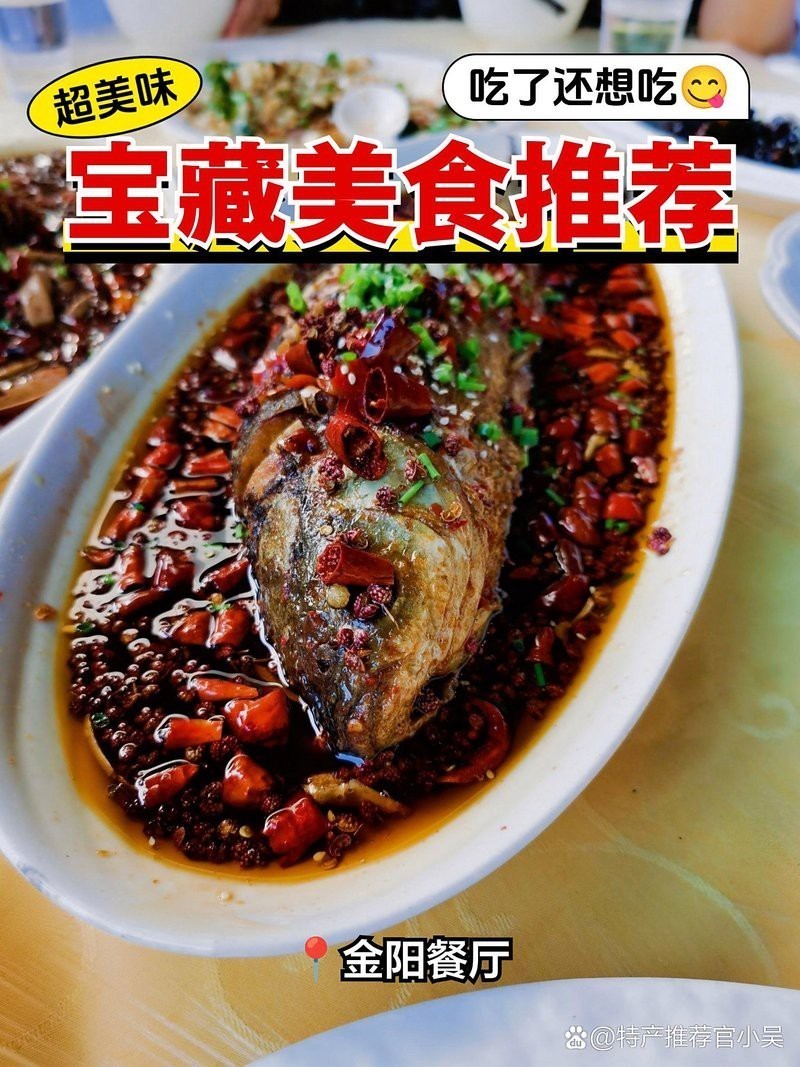金陽龍魚店