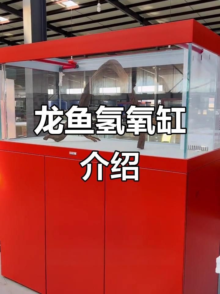龍魚風水缸尺寸標準【龍魚風水缸的尺寸需綜合考慮飼養需求與風水文化】 龍魚百科 第5張 龍魚風水缸尺寸標準【龍魚風水缸的尺寸需綜合考慮飼養需求與風水文化】 龍魚風水缸尺寸標準【龍魚風水缸的尺寸需綜合考慮飼養需求與風水文化】 龍魚百科 第5張
