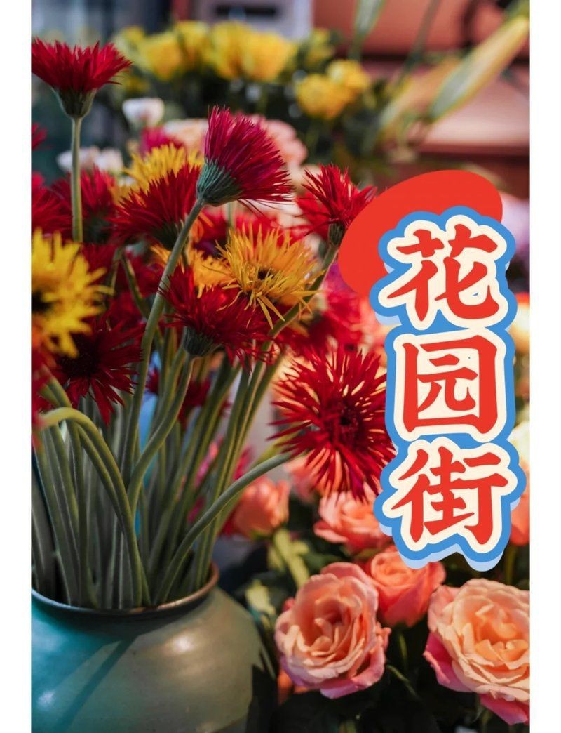 龍華花卉一條街在哪里【龍華公園路花卉一條街】 龍魚百科 第2張 龍華花卉一條街在哪里【龍華公園路花卉一條街】 龍華花卉一條街在哪里【龍華公園路花卉一條街】 龍魚百科 第2張