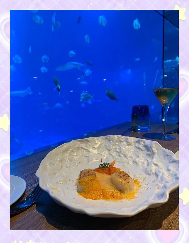 薩嘎水族店【南充水族店探秘:金魚與烏龜的奇妙邂逅春日又來賞花】