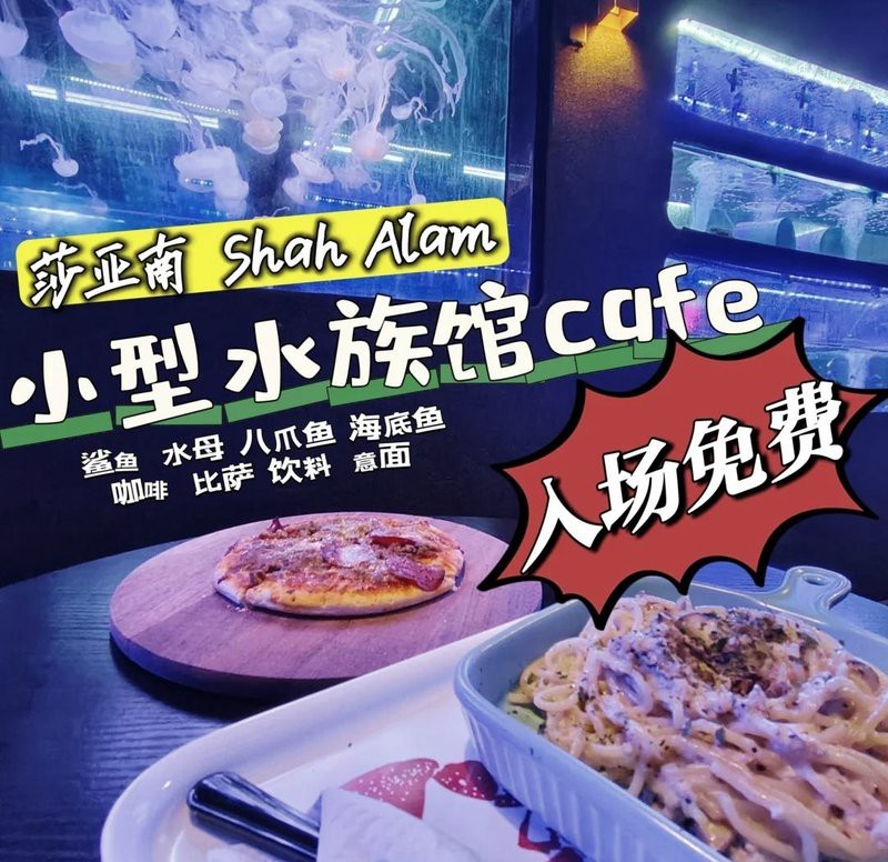 薩嘎水族店【南充水族店探秘:金魚與烏龜的奇妙邂逅春日又來賞花】