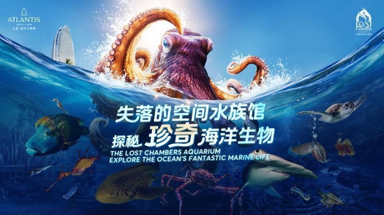薩嘎水族店【南充水族店探秘:金魚與烏龜的奇妙邂逅春日又來賞花】