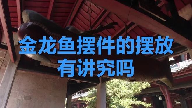 金龍魚(yú)擺件頭朝西好嗎【金龍魚(yú)擺件的擺放有講究嗎】