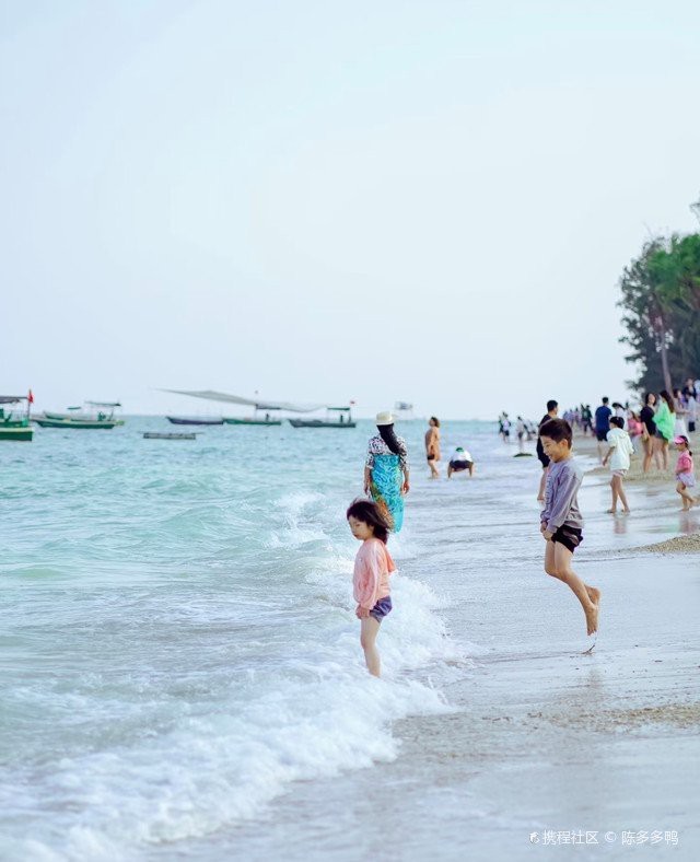 瓊海水族店【瓊海市水族店哪個性價比最高瓊海水族店哪個性價比最高】