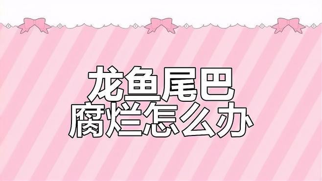龍魚(yú)爛尾病如何治療？【智能模式回答完成調(diào)用工具：百度健康】