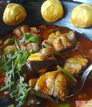 李滄龍魚店【李滄區龍魚之家觀賞魚店】