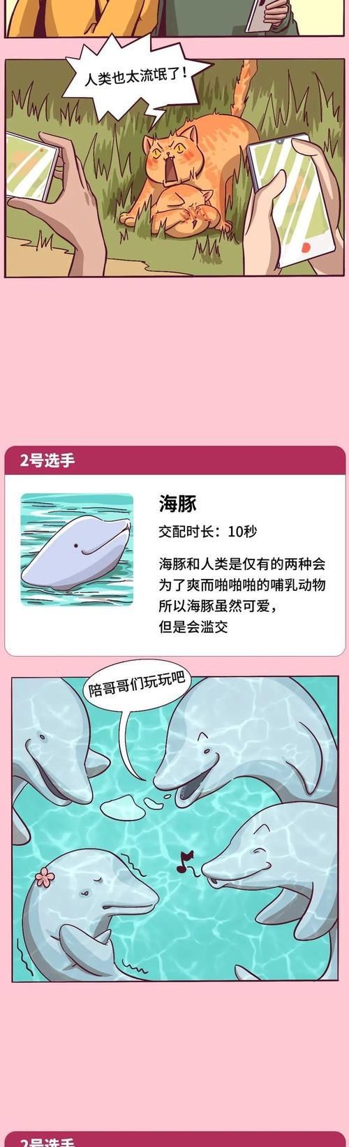 能否提供更詳細(xì)的交尾過程圖解？【動物交為呈現(xiàn)出驚人的多樣性】