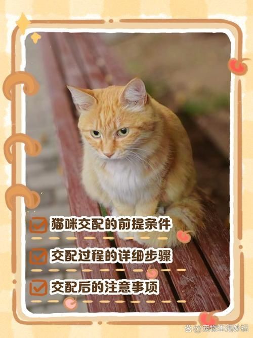 能否提供更詳細(xì)的交尾過程圖解？【動物交為呈現(xiàn)出驚人的多樣性】