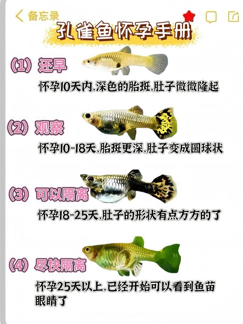 能否提供更詳細(xì)的交尾過程圖解？【動物交為呈現(xiàn)出驚人的多樣性】