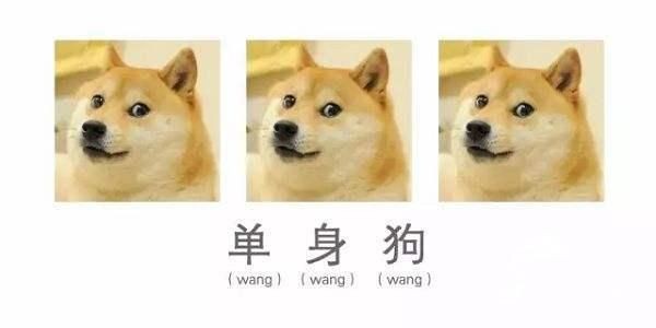 能否提供更詳細(xì)的交尾過程圖解？【動物交為呈現(xiàn)出驚人的多樣性】