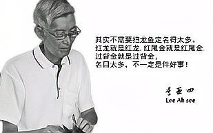 李亞四古典過背金龍和武吉美拉金龍【雙龍競輝：李亞四古典過背金龍與武吉美拉】 李亞四古典過背金龍和武吉美拉金龍【雙龍競輝：李亞四古典過背金龍與武吉美拉】 龍魚論壇 第1張