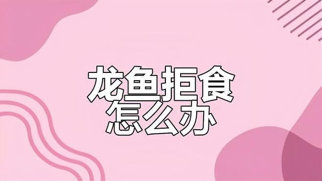 龍魚多久不吃食需要就醫？【龍魚不吃食怎么回事】