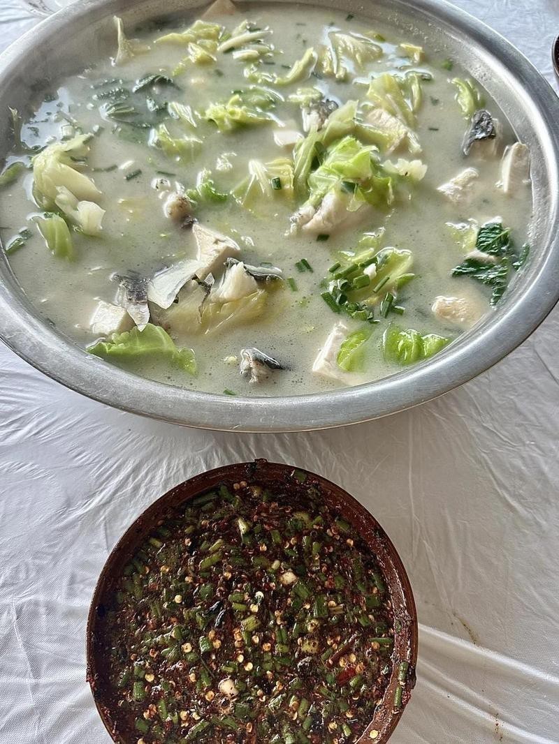 攀枝花龍魚店【攀枝花賣魚缸的店有哪些】