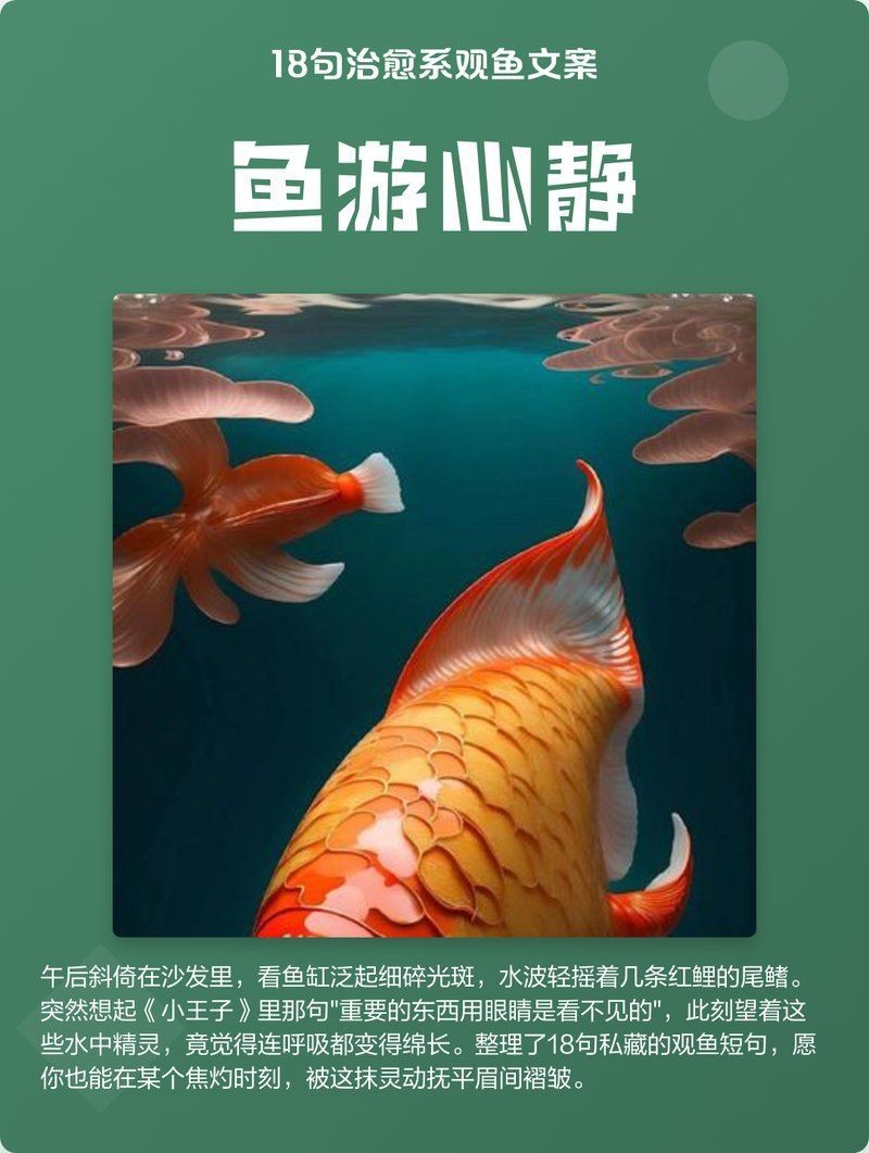觀魚的禪意【《魚游心靜18句治愈系觀魚文案.@筋溪0x的動態(tài)】
