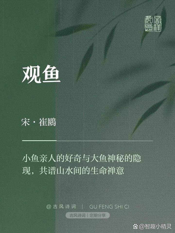 觀魚的禪意【《魚游心靜18句治愈系觀魚文案.@筋溪0x的動態(tài)】