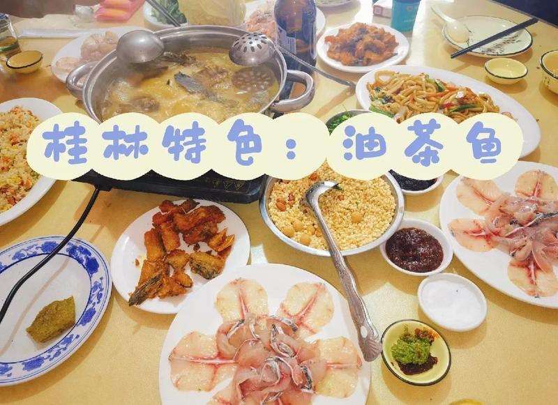 靈川龍魚店【靈川地區(qū)有哪些知名的龍魚店】