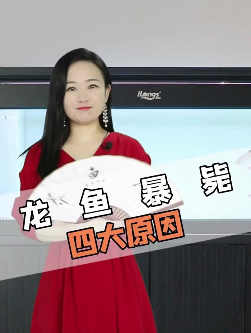 龍魚死了有什么預兆【關于龍魚死亡的預兆及其相關因素】