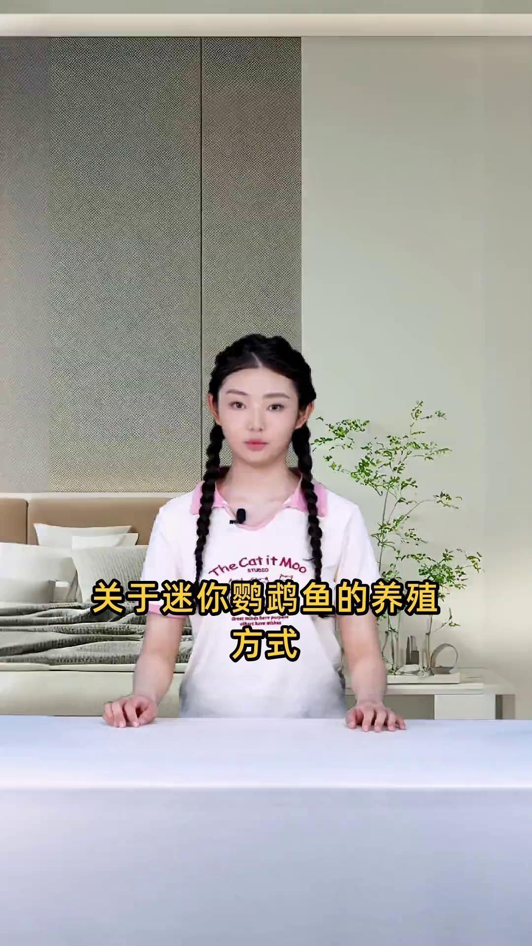 迷你鸚鵡裸缸還是鋪底砂【迷你鸚鵡魚養殖時，應該選擇裸缸還是鋪底砂】