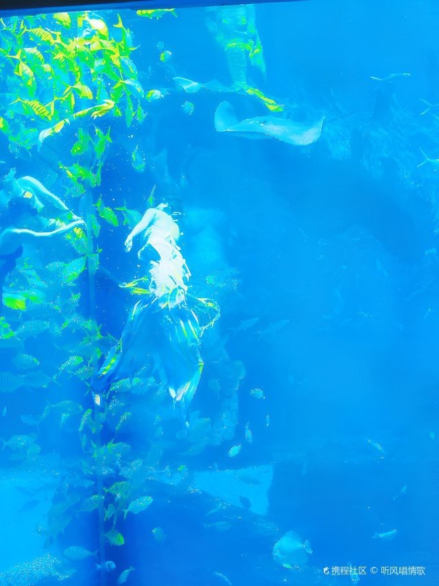 贛縣水族店【打卡贛州極地海洋世界攜程旅行網】
