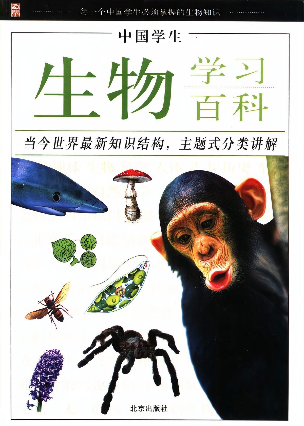 肺魚是不是兩棲動物【肺魚與兩棲動物之間存在密切的進化關鍵環節23】