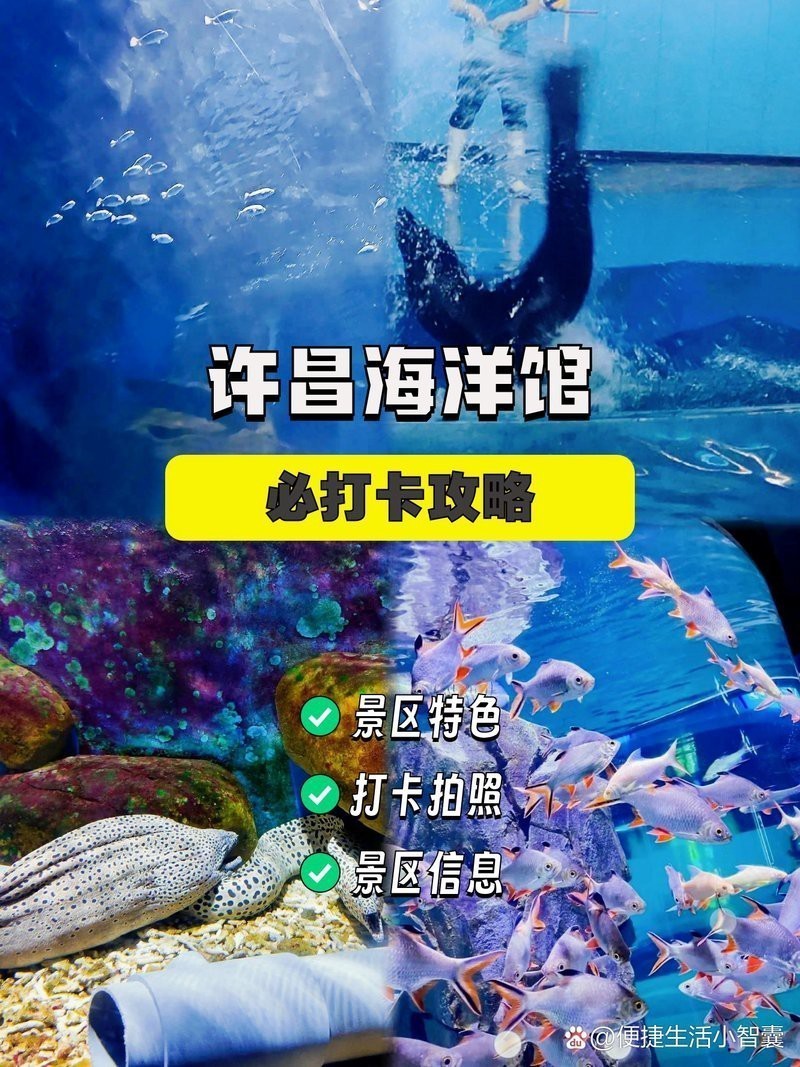 許昌水族店【百度文庫，許昌海洋館保姆級攻略】
