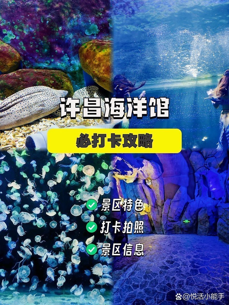 許昌水族店【百度文庫，許昌海洋館保姆級攻略】