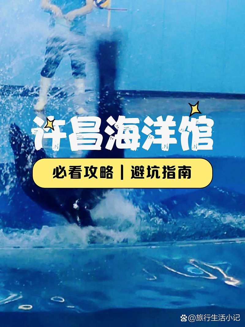 許昌水族店【百度文庫，許昌海洋館保姆級攻略】