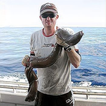 深海龍魚(yú)有哪些天敵案例【深海龍魚(yú)與海龜?shù)牟东C較量】