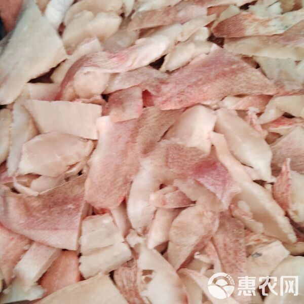 紅鯛魚多少錢一斤【深海紅鯛魚多少錢一斤】