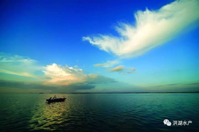 洪湖龍魚店【洪湖小龍蝦縱橫四海闖天下——洪湖龍魚店】 洪湖龍魚店【洪湖小龍蝦縱橫四海闖天下——洪湖龍魚店】 全國水族館企業(yè)名錄 第1張