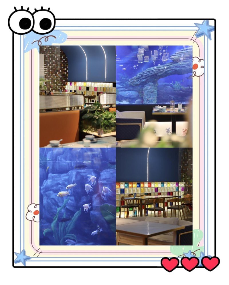 <strong><mark>融安</mark></strong>水族店【<strong><mark>融安</mark></strong>縣哪家水族館口碑最好】