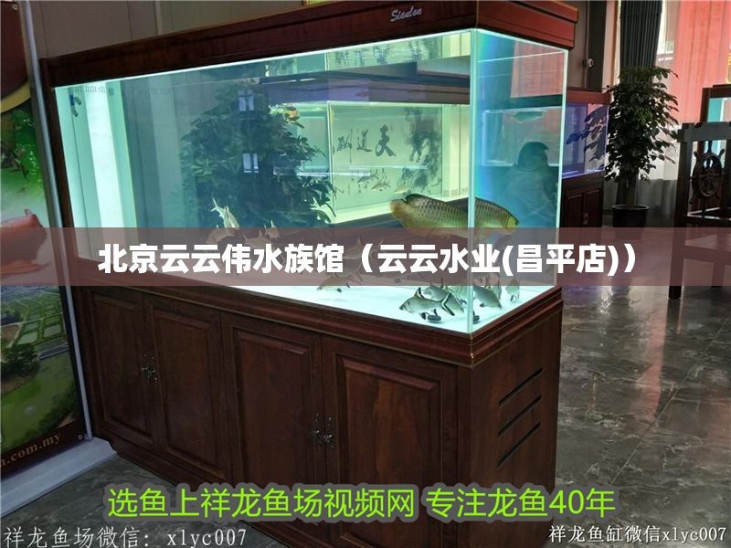 昌平水族店【昌平區哪家有潛水體驗】