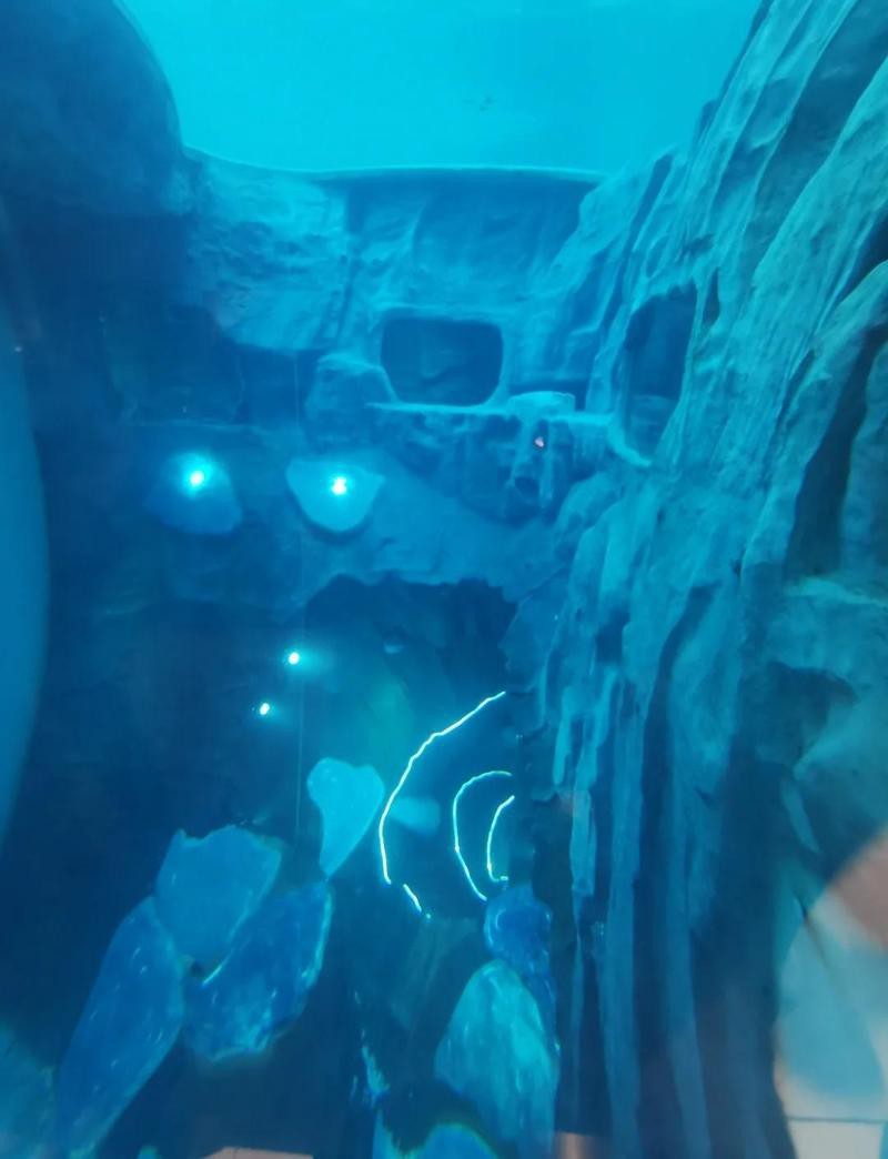 昌平水族店【昌平區哪家有潛水體驗】
