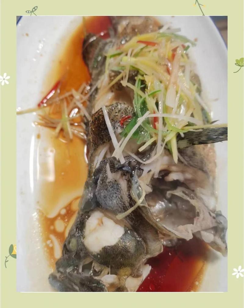 灌云龍魚店【灌云龍魚-祥龍魚場】