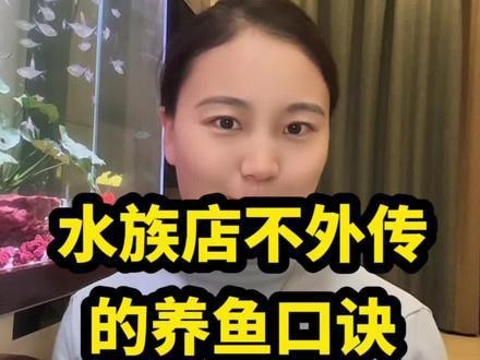 赤城水族店【愛企查赤城縣赤城鎮閩江水族魚館怎么樣】