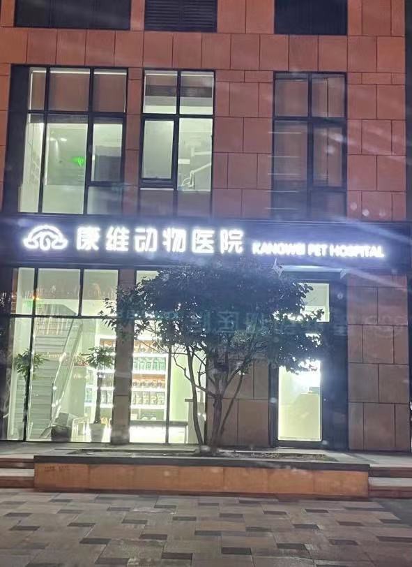 有哪些醫院擅長治療龍魚蒙眼？【北京康維動物醫院康維動物醫院康維動物醫院康維動物醫院編輯】