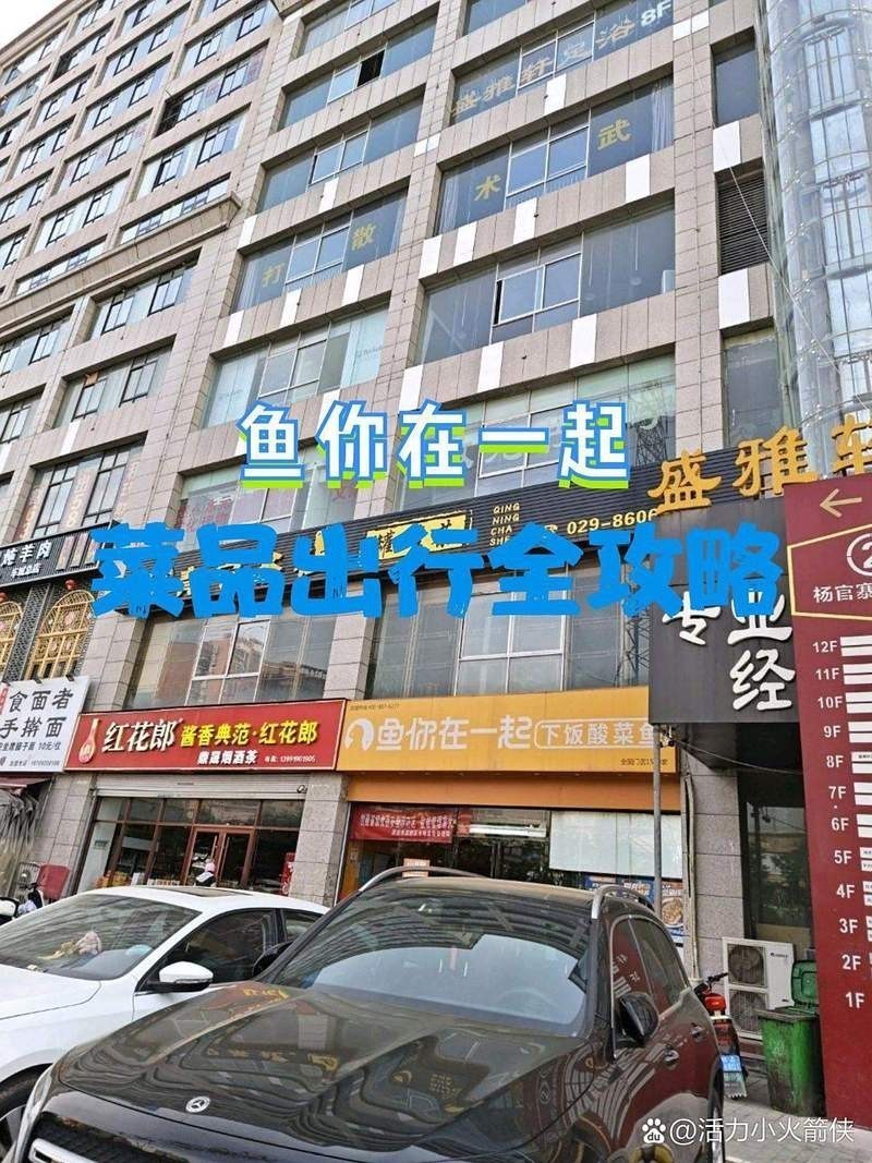 高陵龍魚店【錢江晚報推薦幾家高陵區的龍魚店】 高陵龍魚店【錢江晚報推薦幾家高陵區的龍魚店】 全國水族館企業名錄 第2張