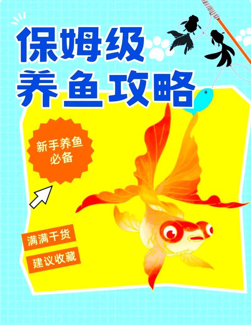 虎紋龍王魚最忌三個東西圖片【虎紋龍王魚飼養技術】