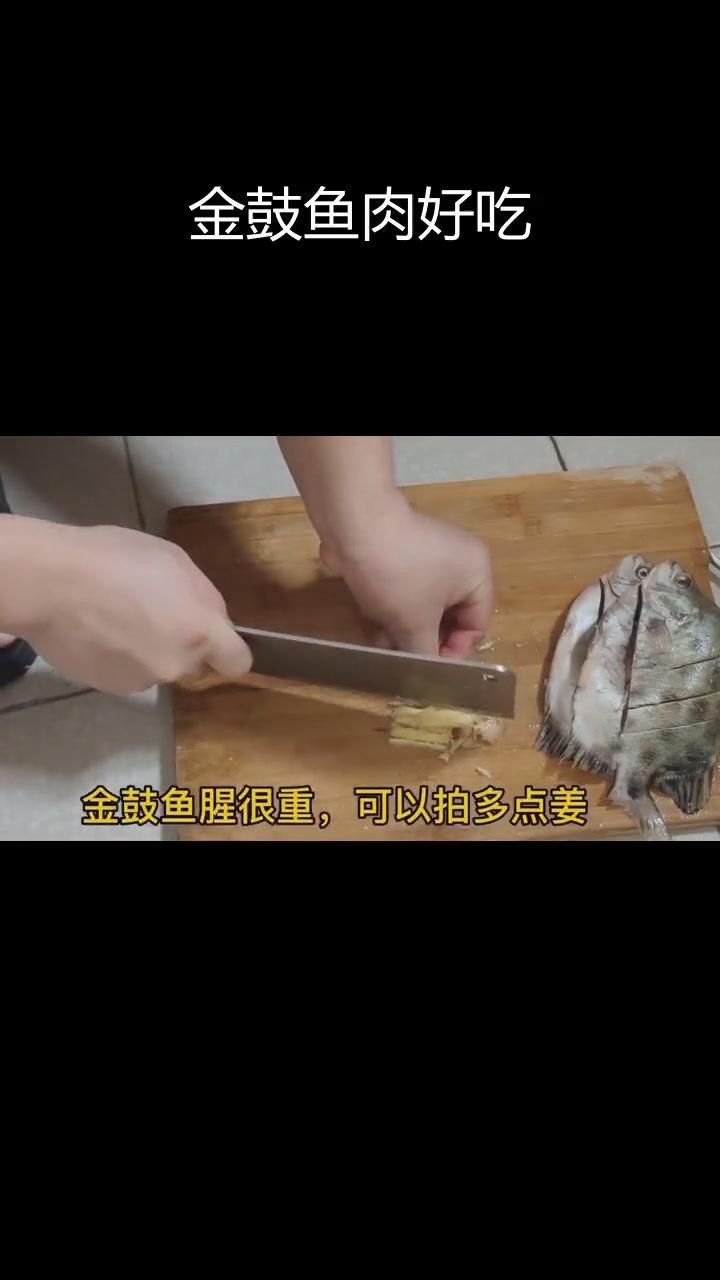 金鼓魚要怎么煮沒毒的【據(jù)說被這個魚扎一次痛三天，江師傅教你酸梅煮金鼓魚】